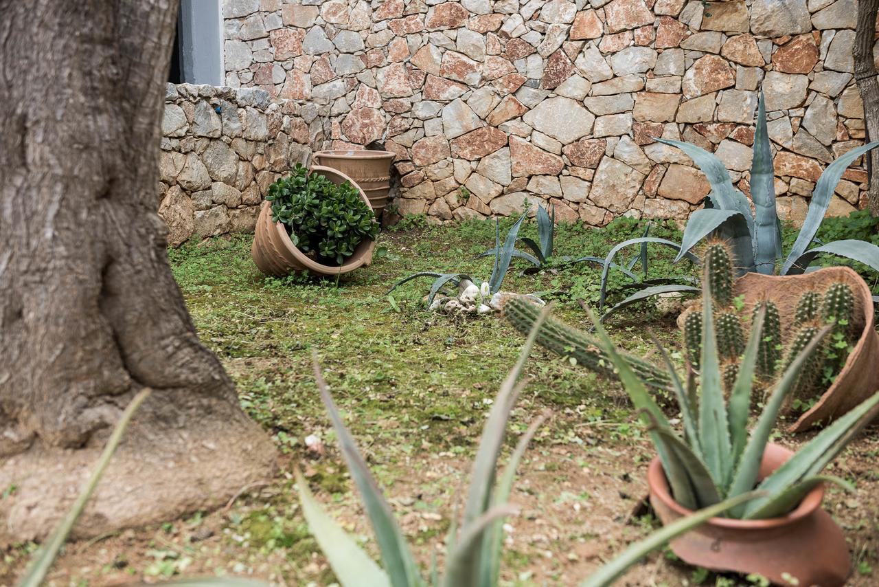 Zen Serenity Retreat With Great Outdoors, Pool & Parking Aptera Bagian luar foto
